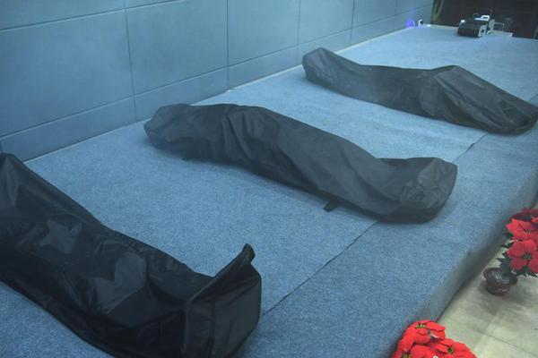 繁花似錦by月下蝶影