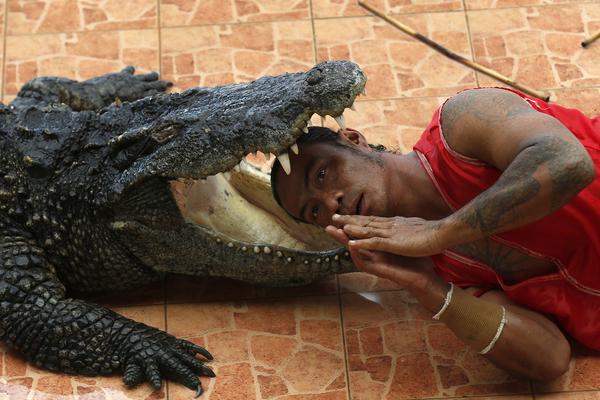 重生之君臣by步簾衣