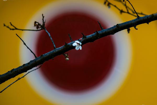 盜墓筆記大結局(上)免費觀看