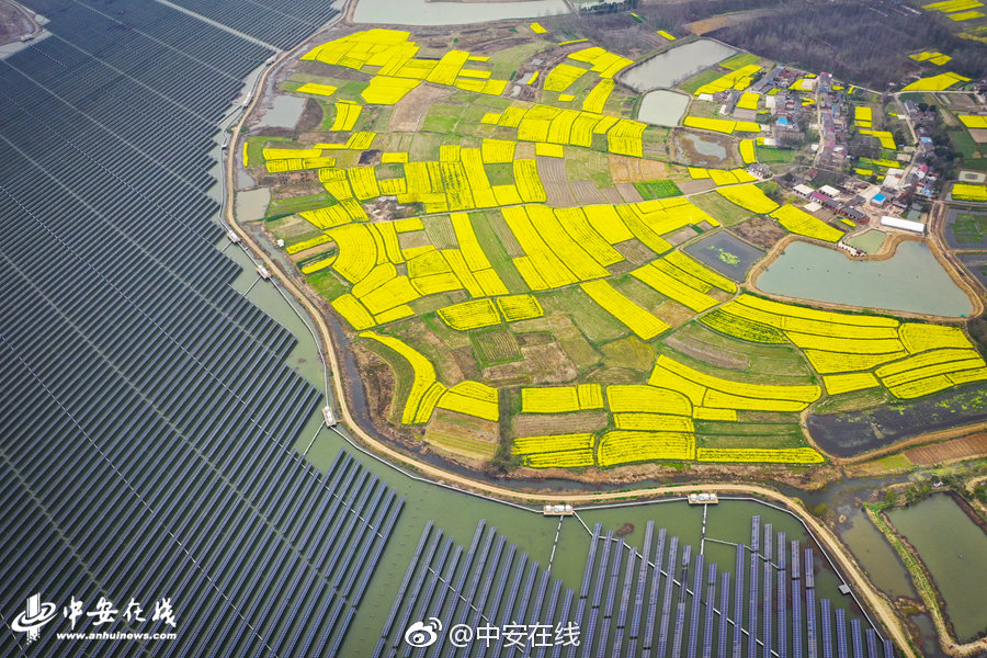 一枚硬幣po免費(fèi)閱讀