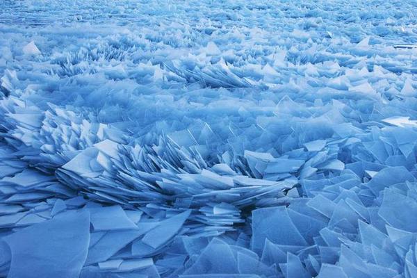 成為班級(jí)公共獎(jiǎng)勵(lì)品小詩(shī)最新章節(jié)更