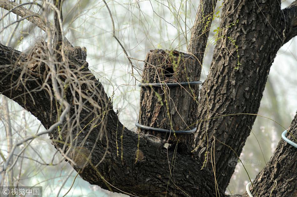 室友總抱我睡覺by筆趣閣