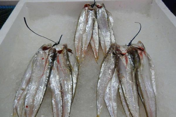 啊肥阿小說筆趣閣