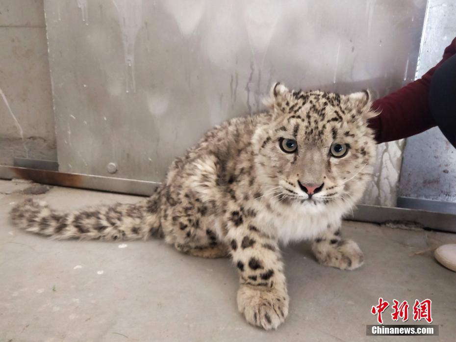 惡毒炮灰不活了by棺木免費(fèi)閱讀下載