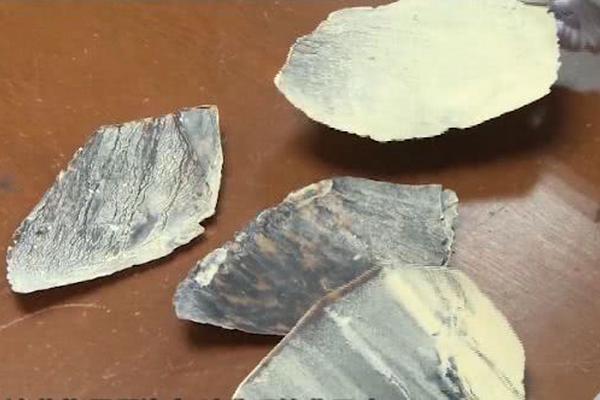 《女配她只想上(快穿)》下作者:黃心