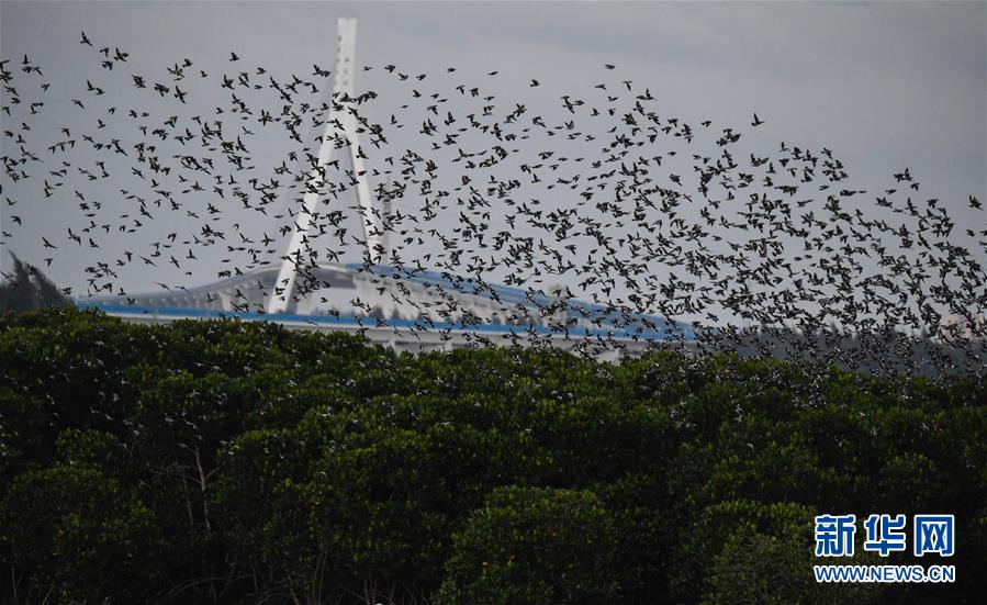 再相逢(雙向救贖1V1)作者:桃夭