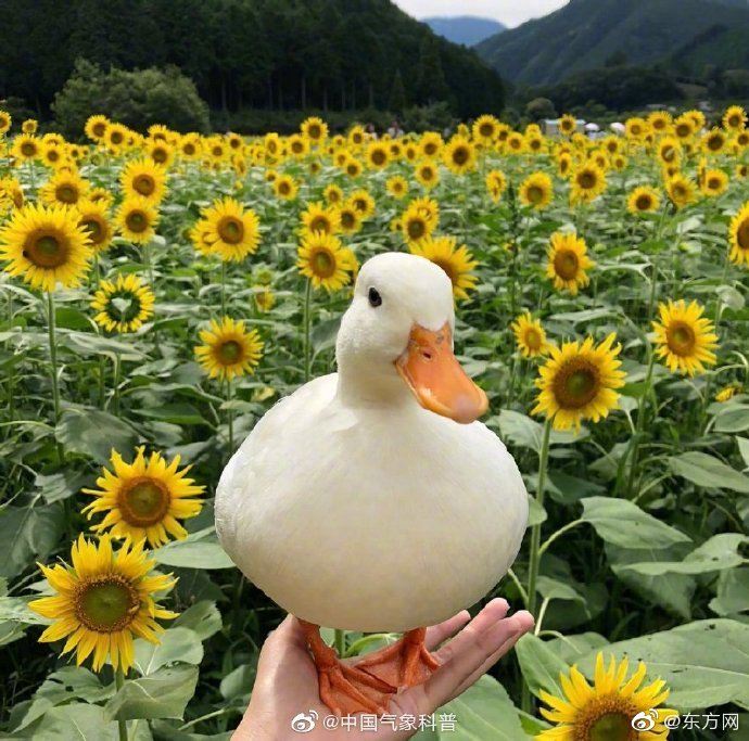 至尊逍遙神txt精校