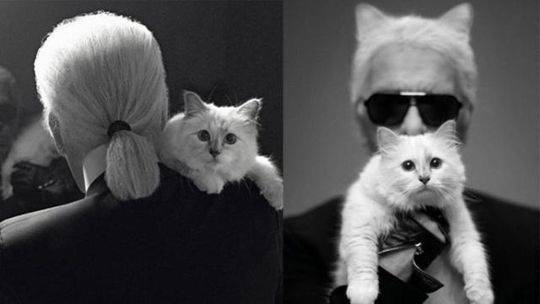 《開張大吉》by春日負(fù)暄