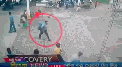 《碎瓊》作者:瞰霧txt