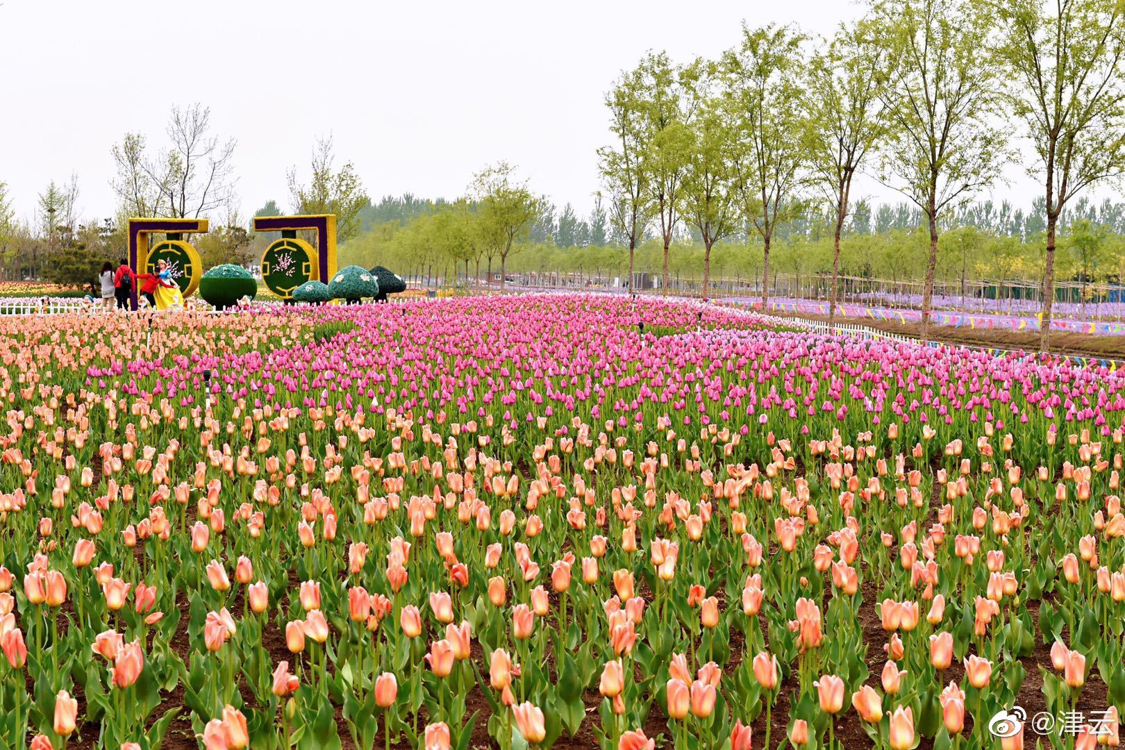 都市修真醫(yī)圣筆趣閣無彈窗閱讀