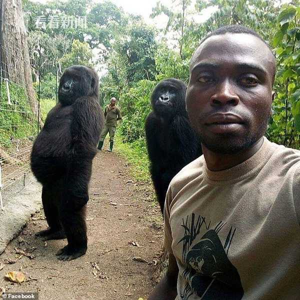 在心尖上起舞筆趣閣免費閱讀