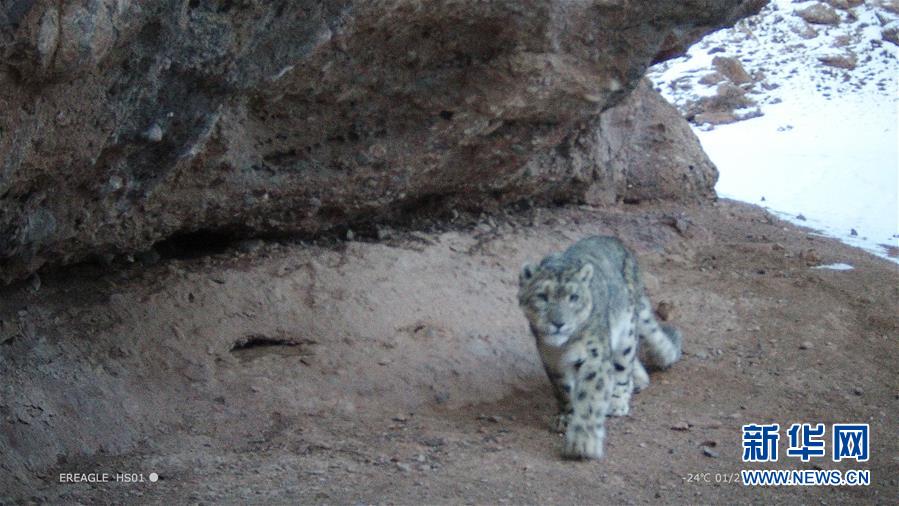 云裳小丫鬟小說筆趣閣