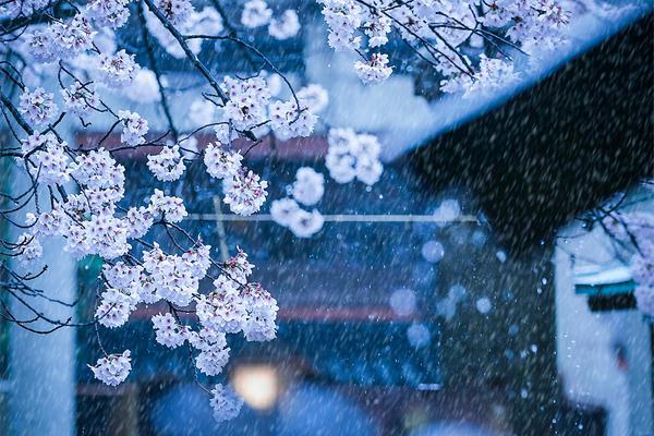 總裁的懲罰期BY筆趣閣