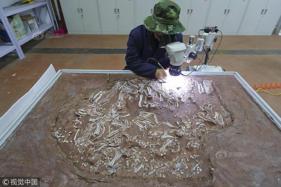 和系統(tǒng)反目成仇后(NP)txt