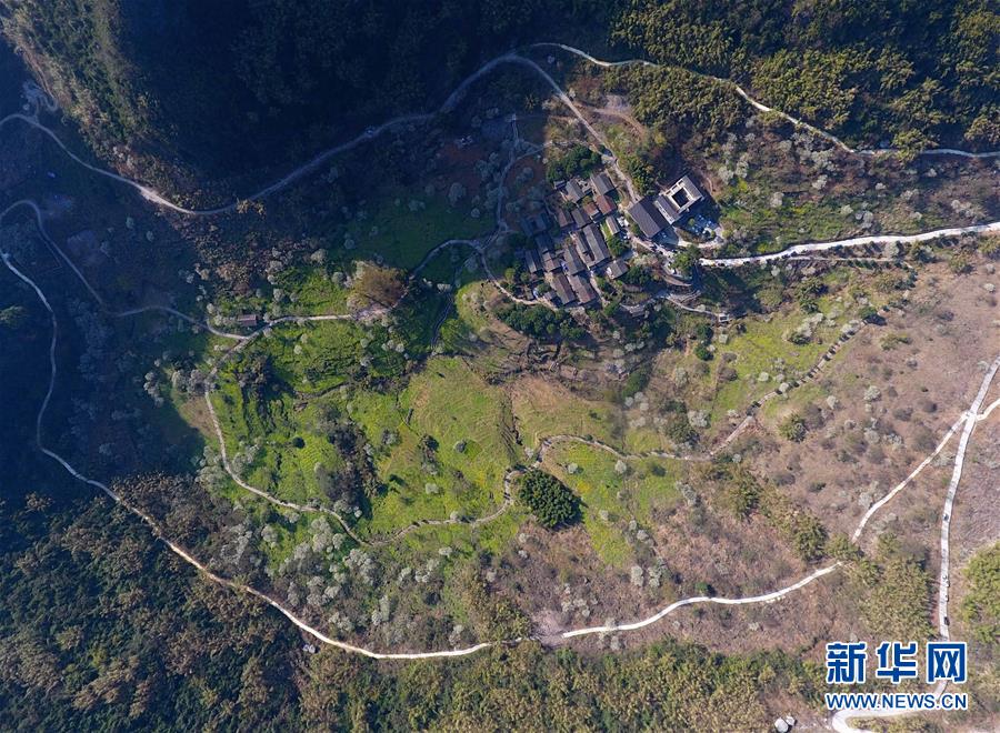 最強(qiáng)棄少最新章節(jié)_最強(qiáng)棄少無彈窗_筆趣閣