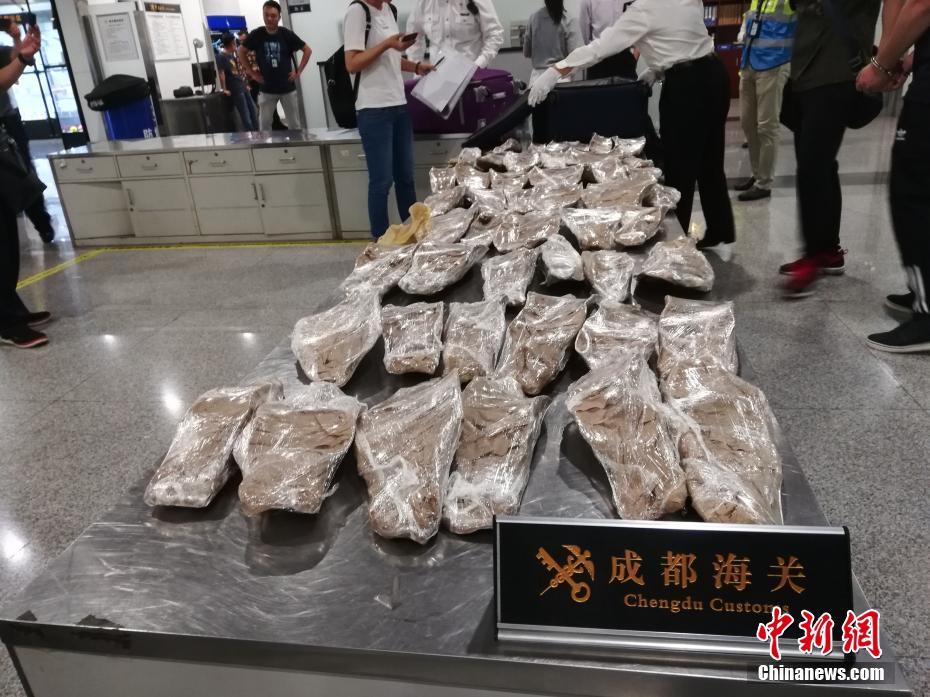 《撕破假面》by柴胡金