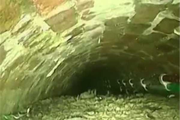 趁夫不在給公在線觀看電視劇翼裕香