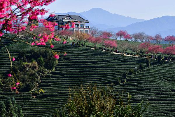 娛樂圈那點破事兒(gl)