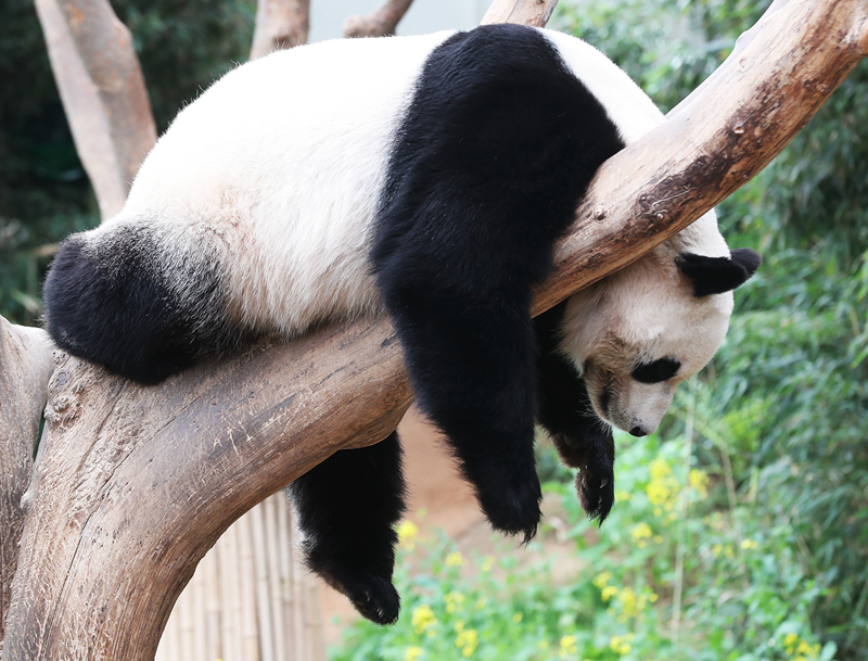 作者by阿司匹林