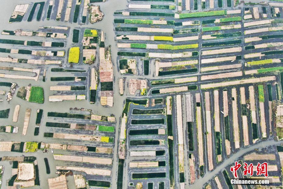 銀風(fēng)月小說筆趣閣