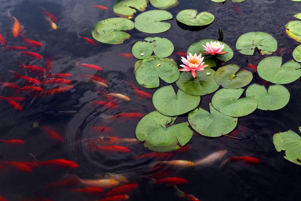 筆趣閣1v1雙男主體型文