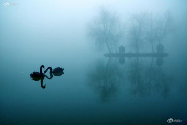 大婚(古言1v1)玉宮金