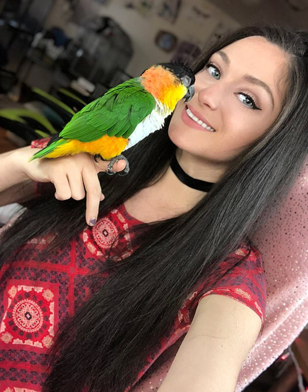 婚后)高冷來(lái)夜方長(zhǎng)