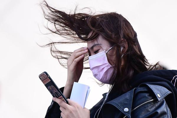 大秦皇陵TXT下載