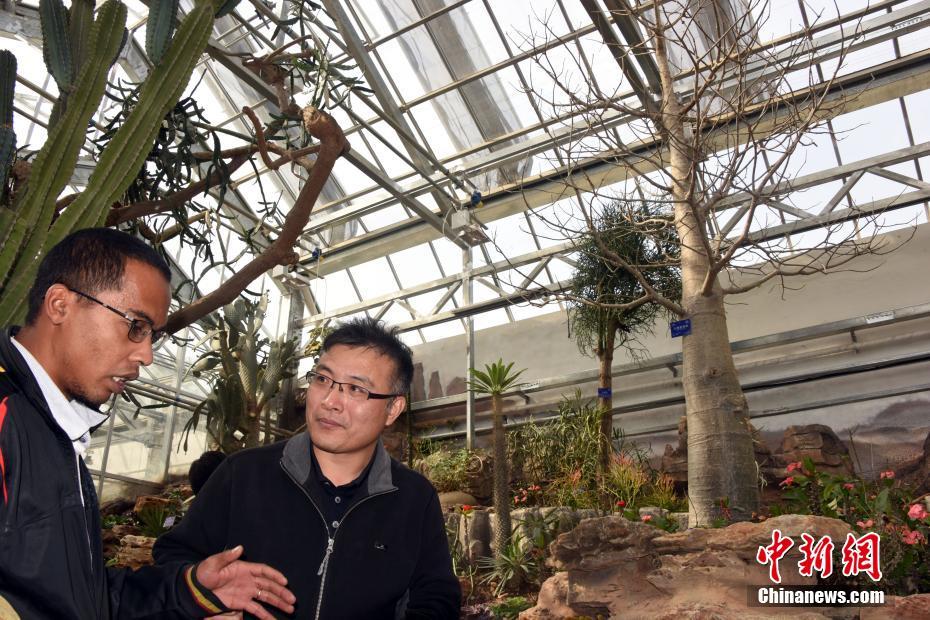 《優(yōu)質(zhì)rb攻略系統(tǒng)沉芙》