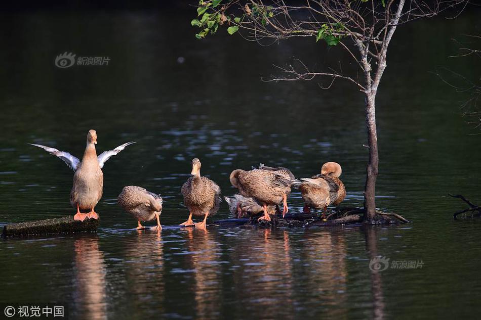 楚漢爭鼎全本TXT免費下載