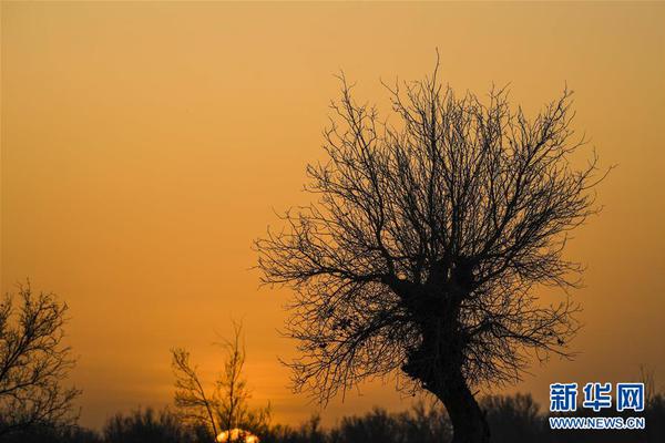 藏地密碼小說txt全集