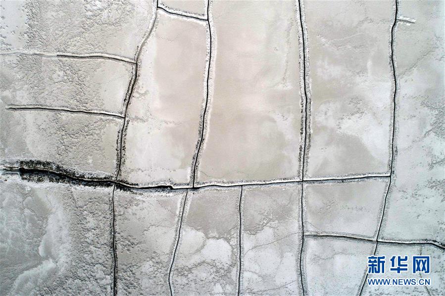 一顆蘋果骨科by孟還百度云