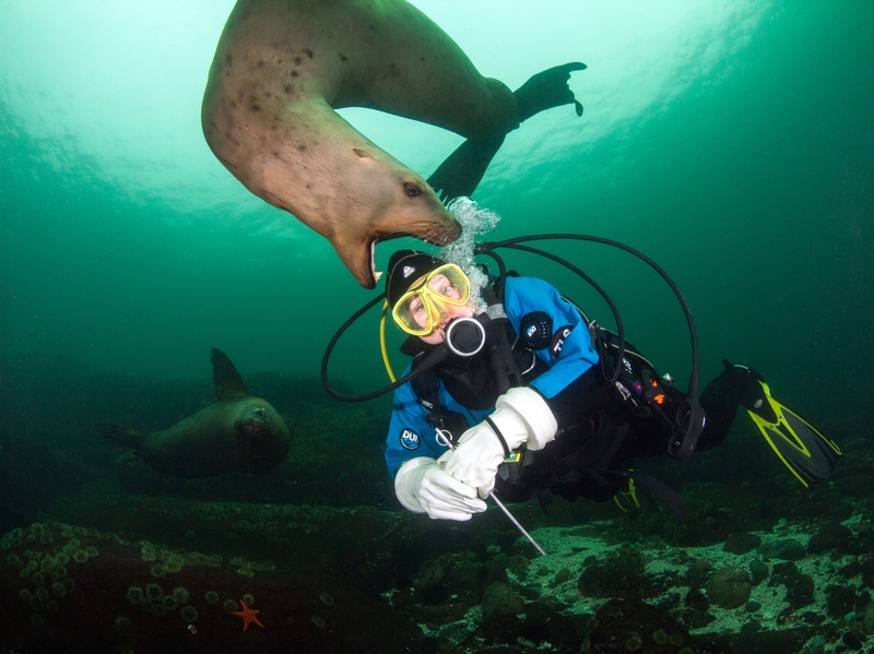 寵你入懷(雙)by半人間百度網(wǎng)盤