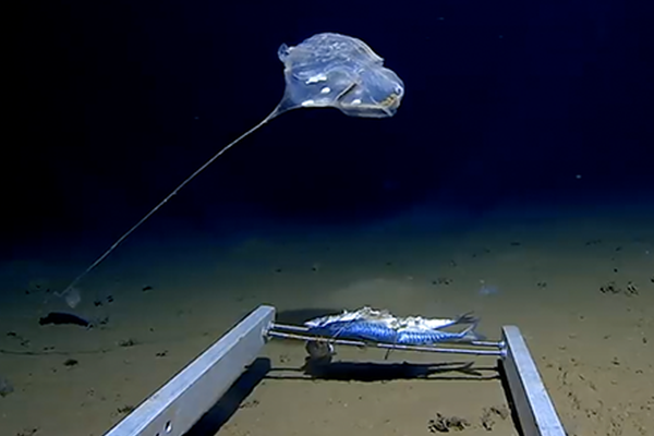 筆趣閣電子書TXT下載