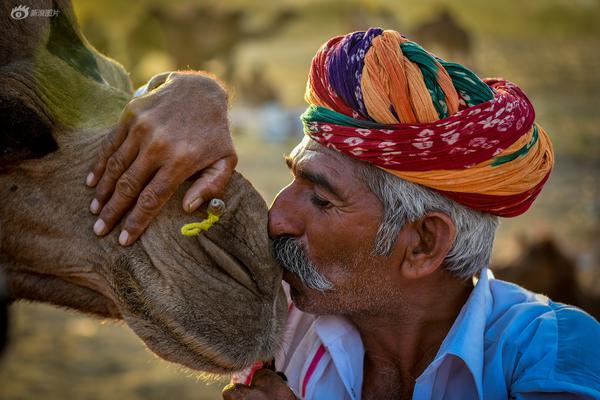 知我意者by鳳梨全文閱讀