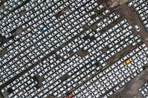 游蕩大家庭交響曲TXT