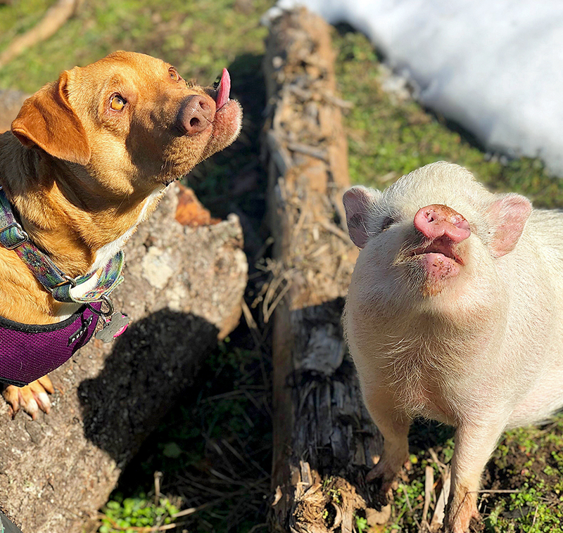 一槍挑四母筆趣閣在線閱讀